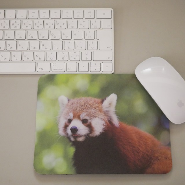 ce04caedfdde6262d5a3bcc8f33095a2