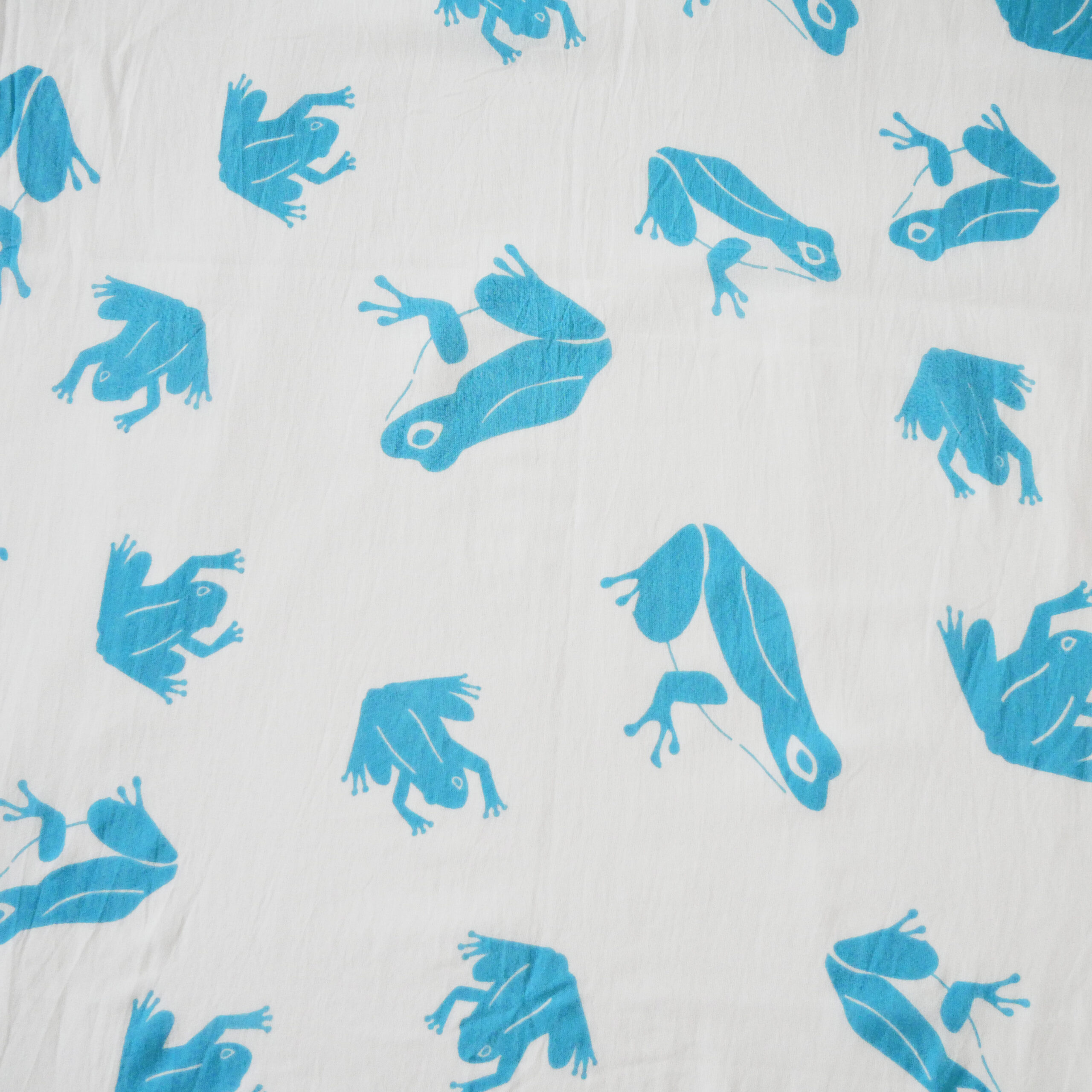 カエルショールBL4