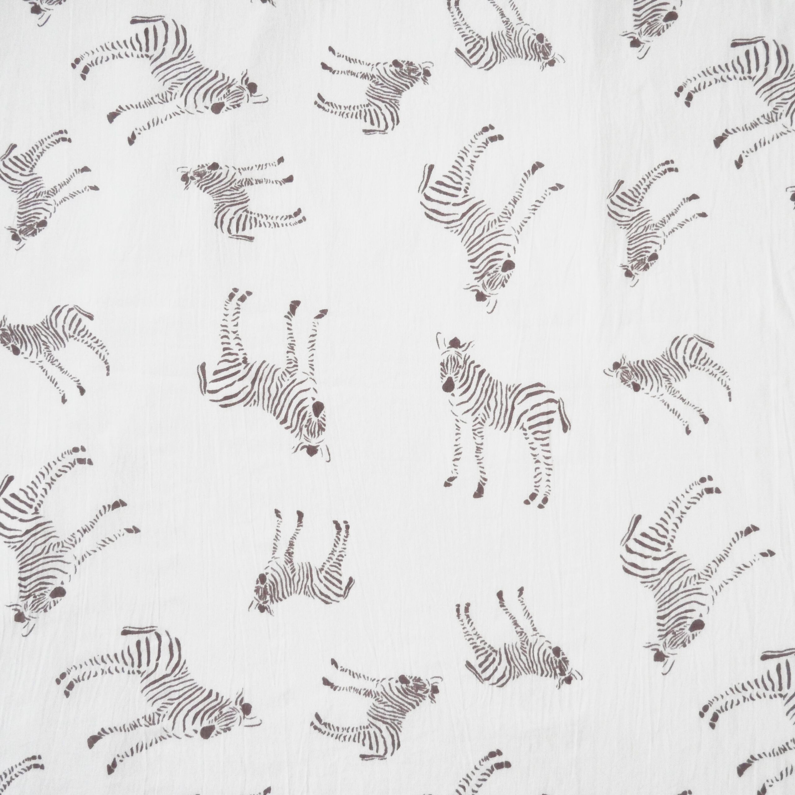 シマウマショール6